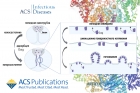  &copy; 2024 ИФХЭ РАН / Zaret G. Denieva et al., ACS Infectious Diseases