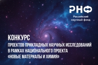 Источник: &copy; 2026 ИФХЭ РАН